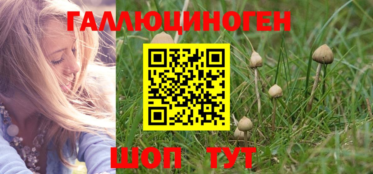 Галлюциногенные грибы мицелий  Галлюциногенные грибы мухоморы  Вход с VPN  Ульяновск 