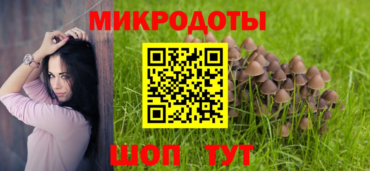 Галлюциногенные грибы прущие грибы Ульяновск